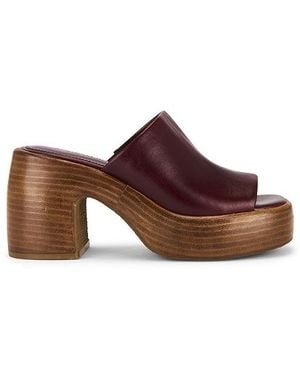 Steve Madden Shanton Sandal - Brown