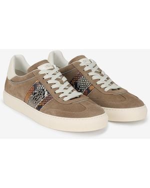 Roberto Cavalli Sneaker Aus Wildleder Mit Schlangenleder-Print - Mehrfarbig