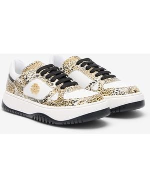 Roberto Cavalli Leopard Print Trainer With Monogram Rc - Multicolour