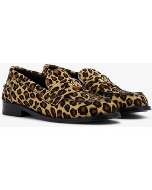 Roberto Cavalli Jaguar Print Mocassins - Brown