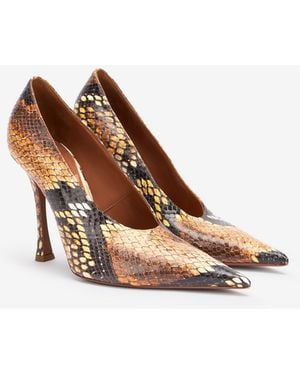 Roberto Cavalli Court Shoes With Python Print - Multicolour