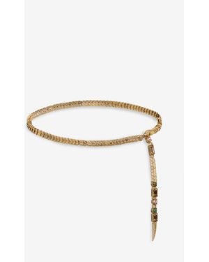Roberto Cavalli Serpentine Chain Belt - Multicolour