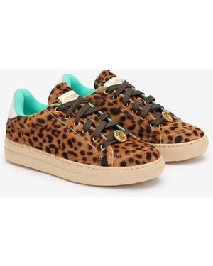 Roberto Cavalli Sneakers With Jaguar Skin Print - Multicolor