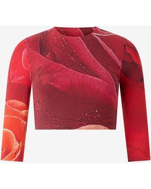 Roberto Cavalli Rose-Print Crop Top - Red