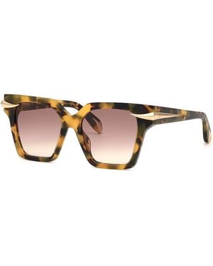 Roberto Cavalli Gafas Colección Fang - Multicolor