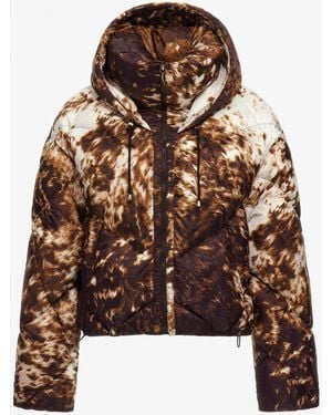 Roberto Cavalli Appaloosa Print Puffer Jacket - Brown