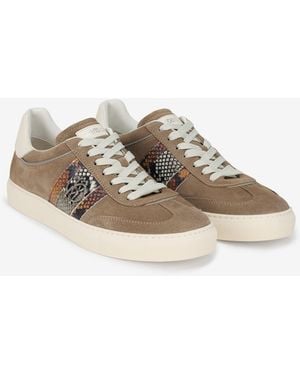 Roberto Cavalli Low-Top Light - Multicolor