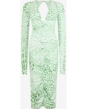 Roberto Cavalli Vestido Midi Con Estampado Jaguar Mint - Verde