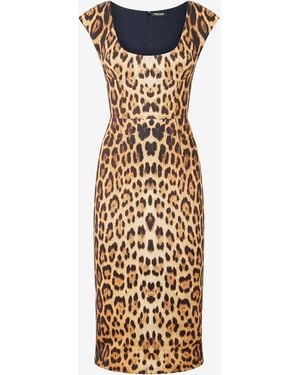 Roberto Cavalli Midi Dress With Jaguar Skin Print - Metallic