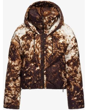 Roberto Cavalli Appaloosa Print Puffer Jacket - Brown