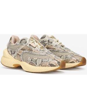 Roberto Cavalli Baskets Serpentine En Cuir À Imprimé Serpent - Blanc