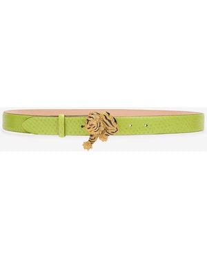 Roberto Cavalli Roar Belt - Multicolour