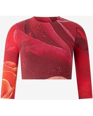 Roberto Cavalli Rose-Print Crop Top - Red
