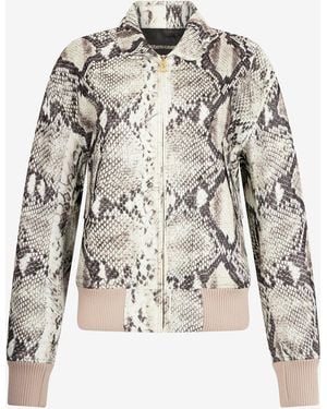 Roberto Cavalli Jacket With Python Print - Brown