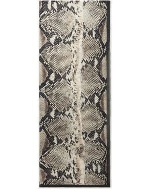 Roberto Cavalli Fular De Seda Con Estampado Python - Gris