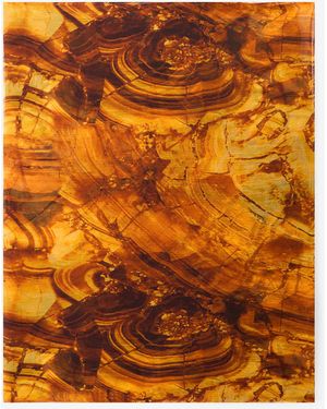 Roberto Cavalli Stole With Amber Print - Orange