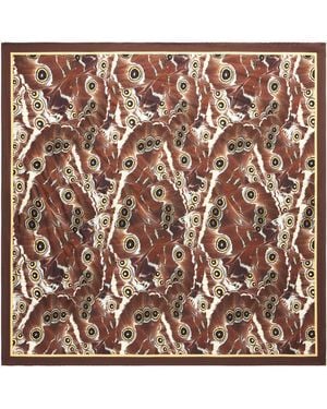 Roberto Cavalli Mini Butterfly Druck Schal - Braun
