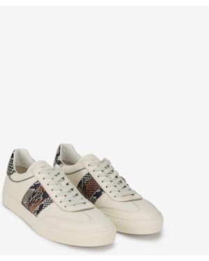 Roberto Cavalli Sneaker Aus Leder Mit Python-Print - Mehrfarbig