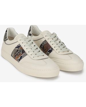 Roberto Cavalli Sneaker Aus Leder Mit Python-Print - Mehrfarbig