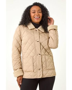 Roman Petite Borg Contrast Padded Coat - Natural