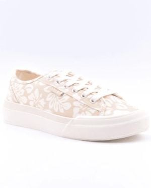 Roxy Marina Sneaker - White