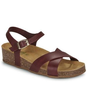 Dream in Green Wedge Sandals Tsilia - Brown