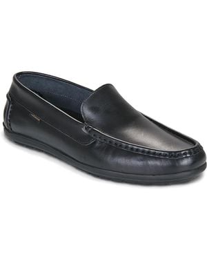 Carlington Loafers / Casual Shoes Driver - Blue