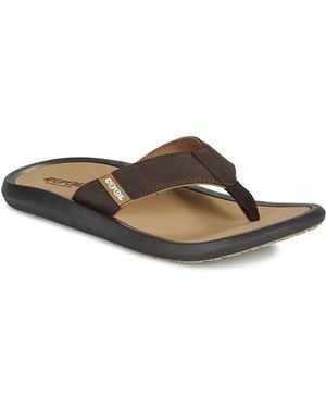 Cool shoe Flip Flops / Sandals (shoes) Wave - Brown