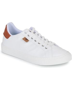 Dream in Green Shoes (trainers) Sorphie - White