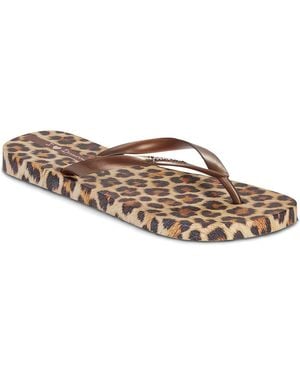 Ipanema Flip Flops / Sandals (shoes) Animal Print Vii Fem - Brown