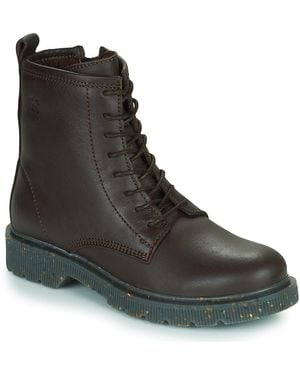 Dream in Green Dream - Brown
