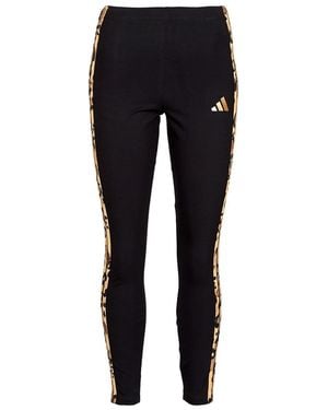 adidas Tights Animal Print 3-stripes High Rise Leggings - Blue