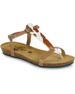 Plakton Sandals Fran Zouk - Metallic