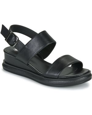 Lumberjack Sandals Fileroy - Black
