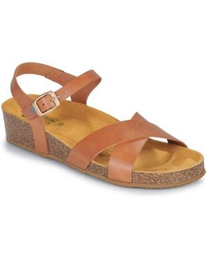 Dream in Green Wedge Sandals Tsilia - Brown