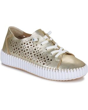 Yokono Shoes (trainers) Sintra - Grey