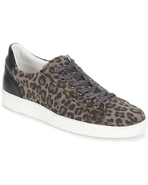 Yurban Jukky Women's Shoes (trainers) In Black - Grey