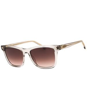 Carrera 3001/S 54Mm - Brown