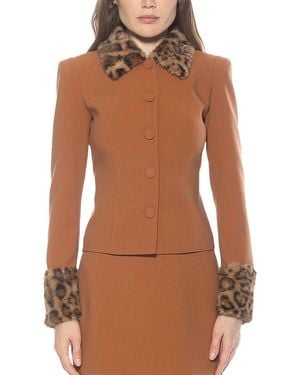 Alexia Admor Fran Jacket - Brown