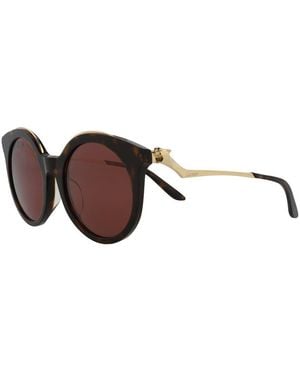 Cartier Ct0118sa 54mm Sunglasses - Brown