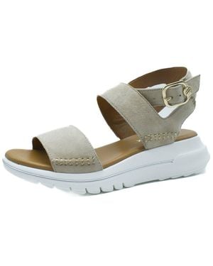 The Flexx Tamara Suede Sandal - Multicolour