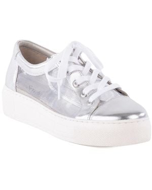 Seychelles Forever Young Leather & Mesh Trainer - White