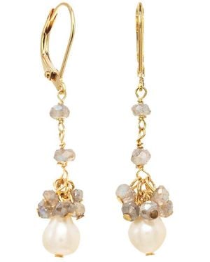 Rachel Reinhardt Jewelry 14k Vermeil Labradorite Linear Cluster Earrings - Metallic
