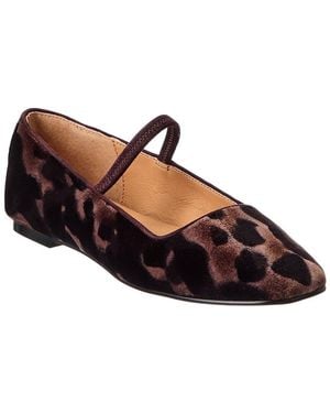 Madewell The Greta Velvet Ballet Flat - Brown
