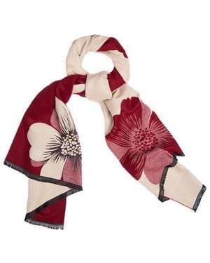 Saachi Reversible Scarf - Red