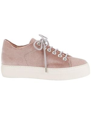 Agl Attilio Giusti Leombruni Vananda Velvet Trainer - Pink