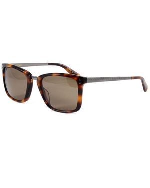 Zac Posen Marcelo 53Mm Sunglasses - Brown