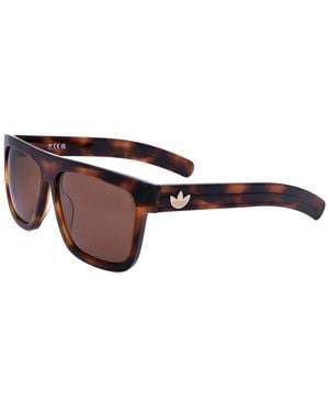 Alexander Wang Adidas 56Mm Sunglasses - Brown