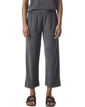 Splendid Taryn Terry Pant - Black