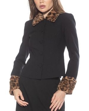Alexia Admor Fran Jacket - Black